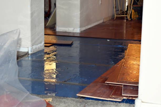 Professional Water Damage Restoration technician working in Marshall, WA
